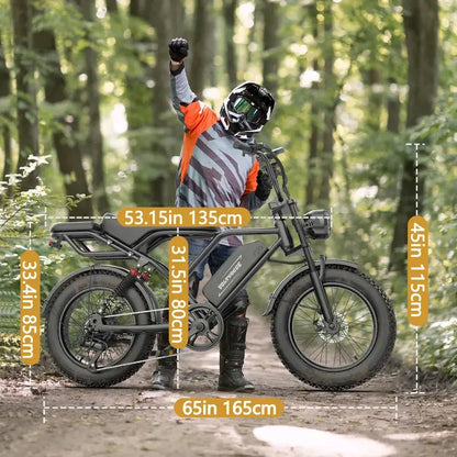 Norvuo Voltvogue eBike